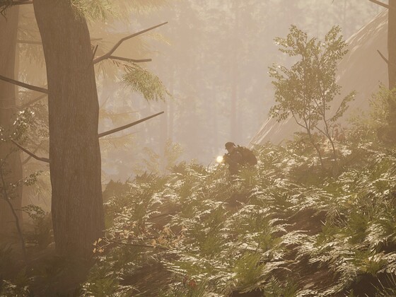 SCUM - Hazy Forest