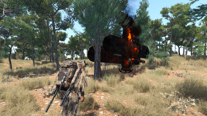 Das passiert, wenn der Server husten hat beim Abheben :,-(