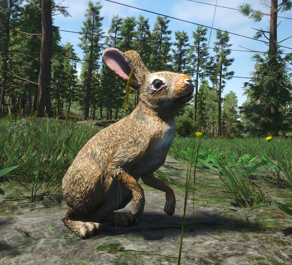 oh wie niedlich😍😍