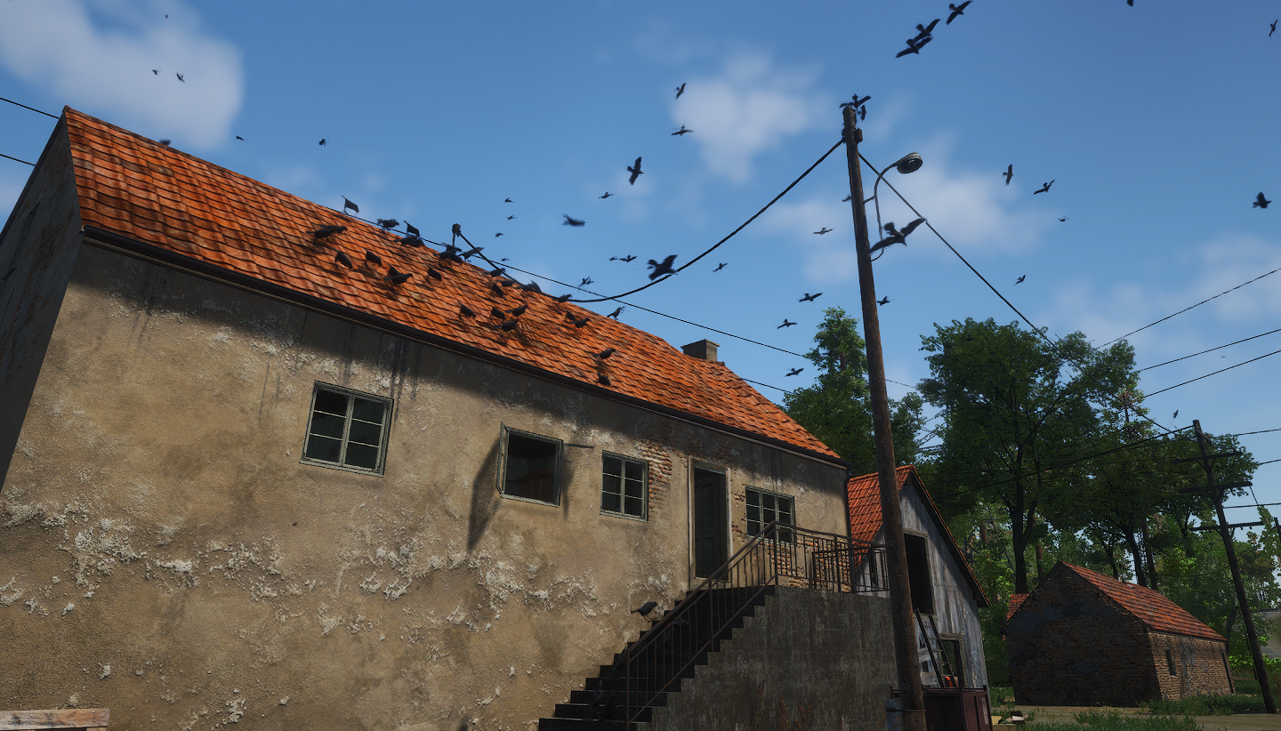 🐦Die Vögel (Film) 🐦