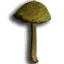 ICO_Amantia_Phalloides_01.png