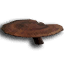 ICO_Ganoderma_Lucidum_01.png