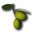 ICO_Olives.png