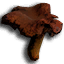 ICO_Psilocybe_Cyanescens_01.png