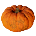 ICO_Pumpkin.png